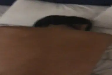 Bokep Indo ABG Kentu WOT Ganas