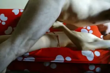 Bokep Live ABG Jakarta Bareng Suami Nakal 2026